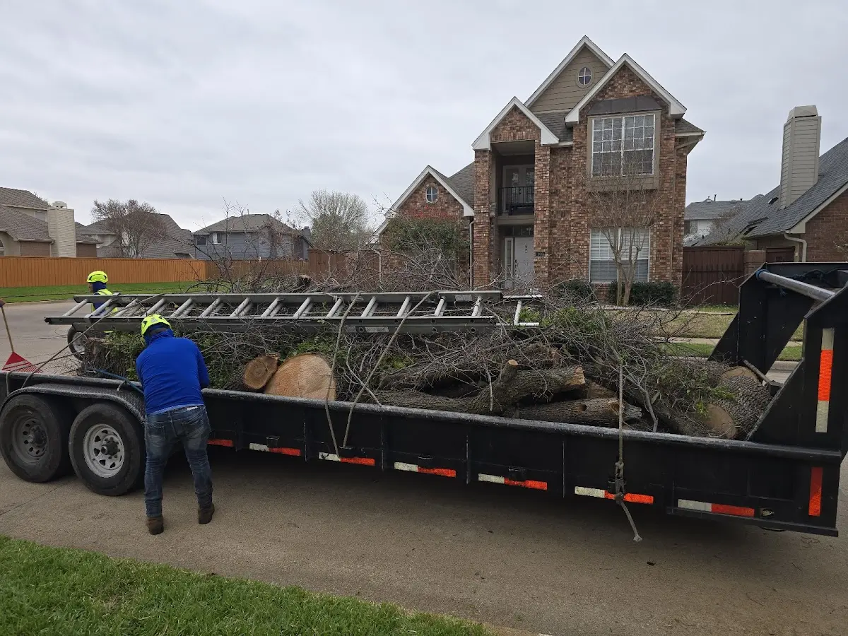 Expert Tree Fertilization with proper safety equipment in Pine Apple
